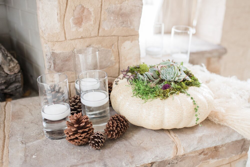 succulents in a pumpkin